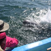 IMG 0001 2 (327)